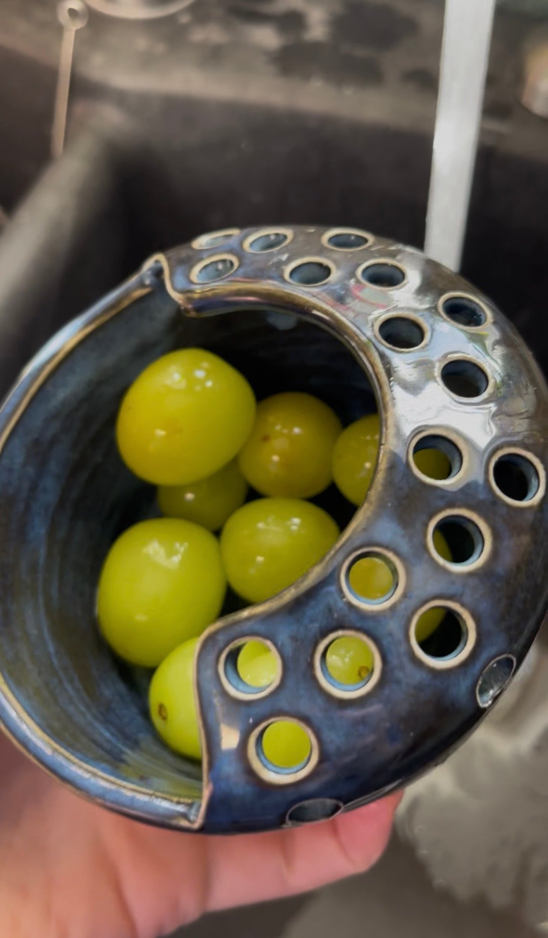 Berry-Go-Bowl *Preorder*