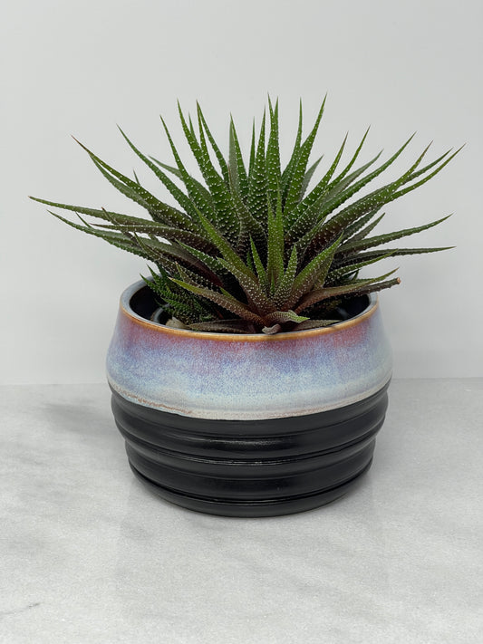 Planter
