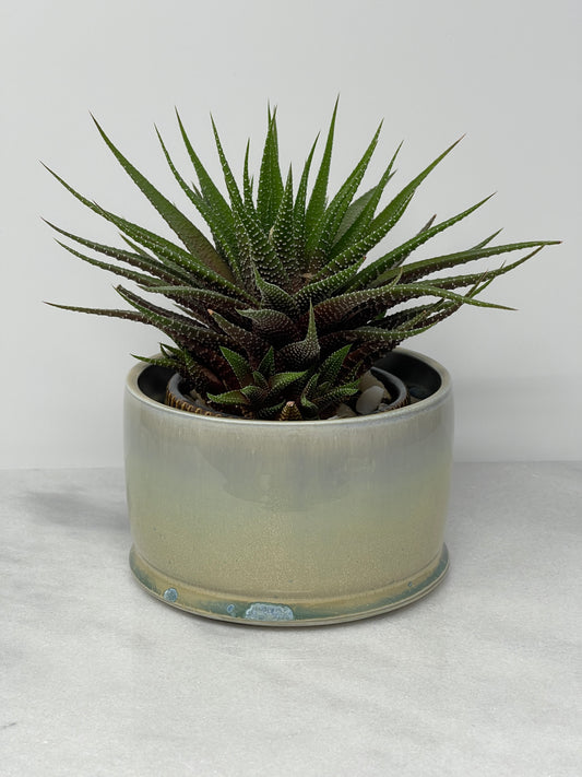 Planter