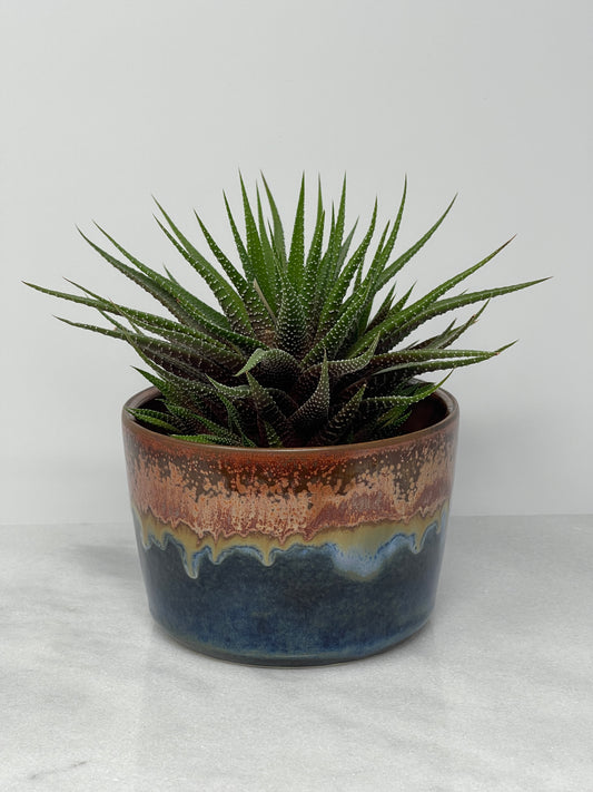 Planter