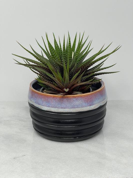 Planter
