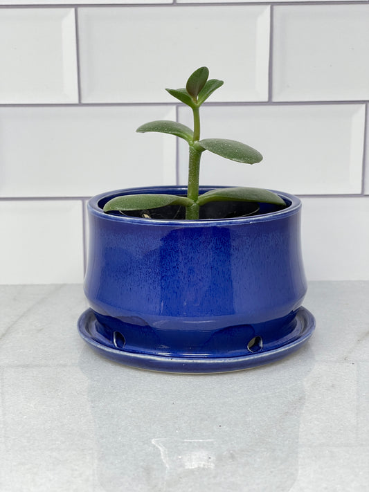 Planter