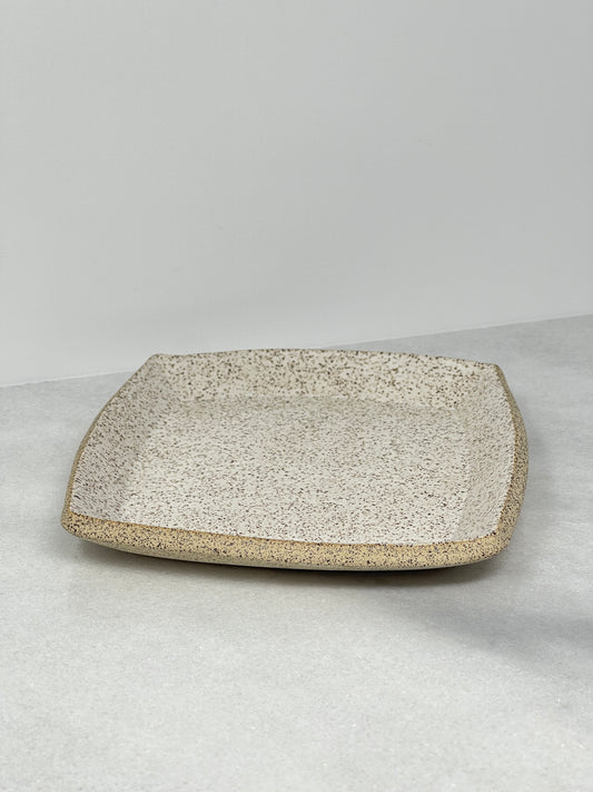 Tray / Plate